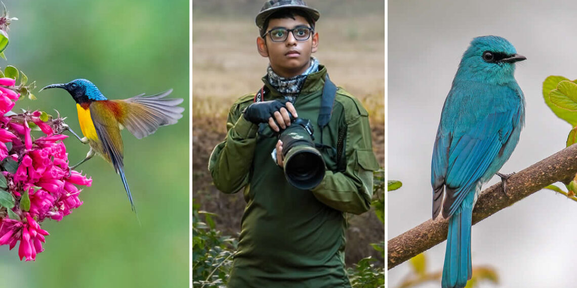 Indian Wildlife Photography by Arko Saha