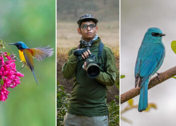 Indian Wildlife Photography by Arko Saha
