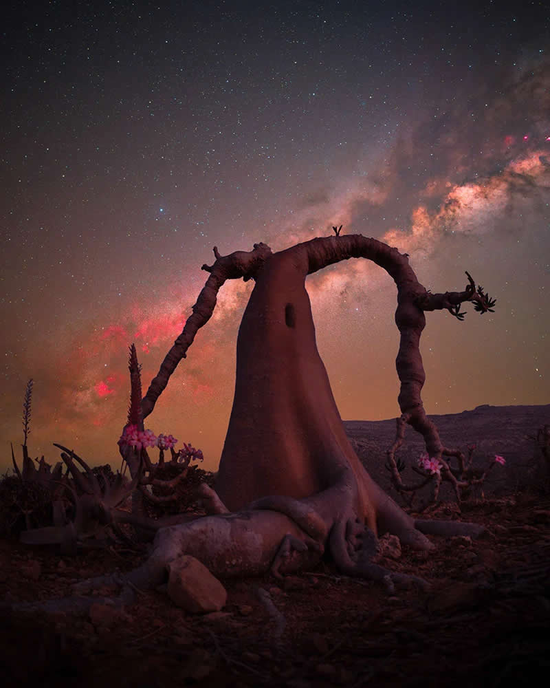 2025 International Landscape Photography Awards Winners