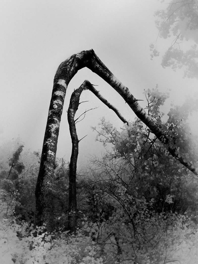 2nd Place: "You Can’t Enter the Same River Twice" by Francisco Gonzalez Camacho - LensCulture Black and White Photography Awards 2025 Winners