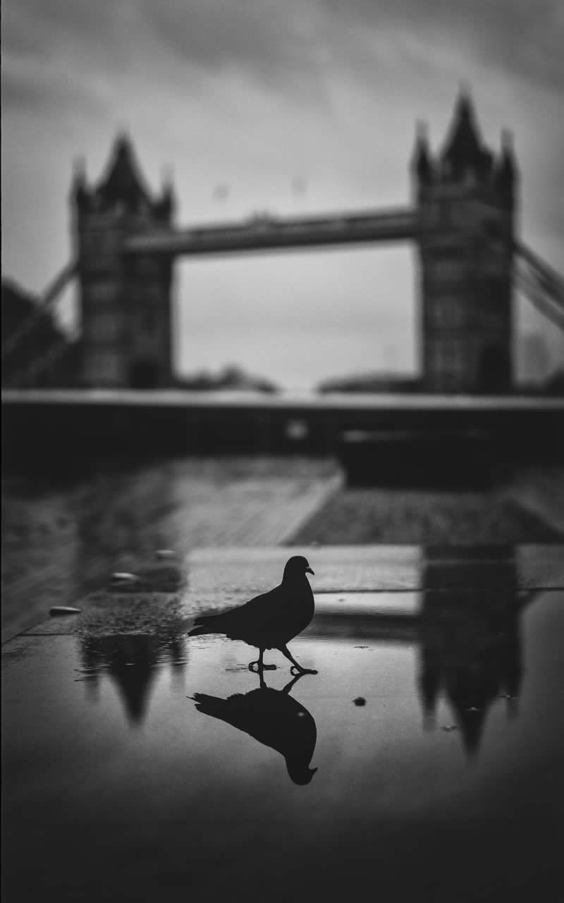 London in Frames A Photography Book by Street Photographer Ovidiu Selaru