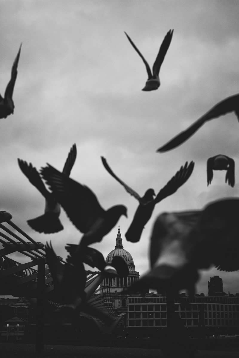 London in Frames A Photography Book by Street Photographer Ovidiu Selaru