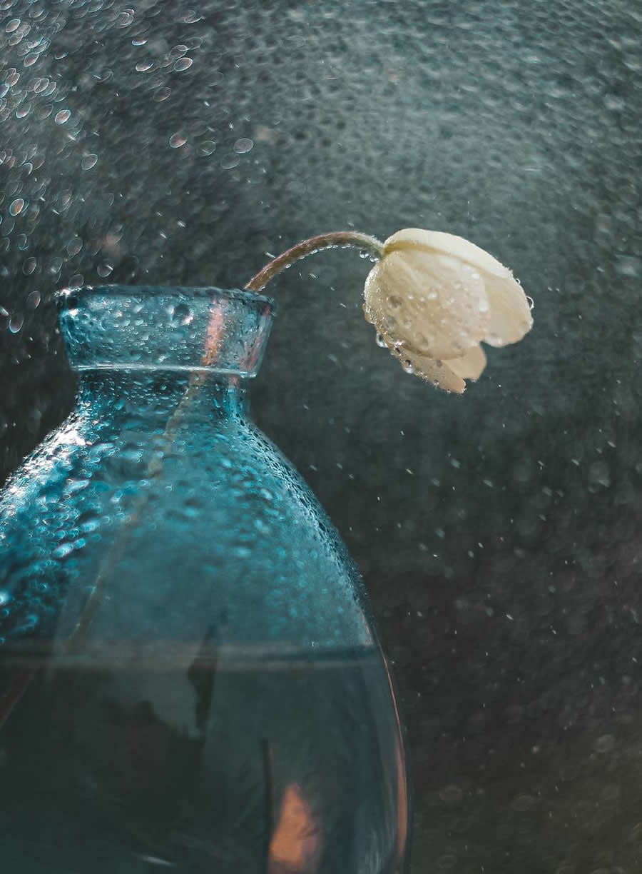 Photo by Ekaterina Kolot - Water Drops Of Macro Photos