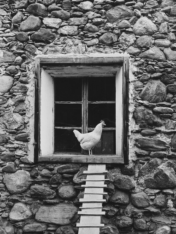 Masters of Photography by Toni Schneiders