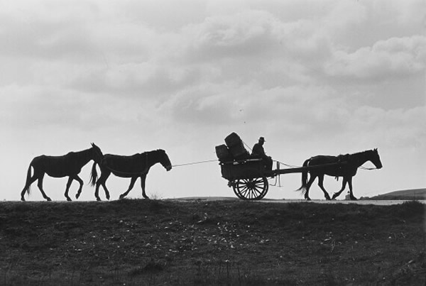 Masters of Photography by Toni Schneiders