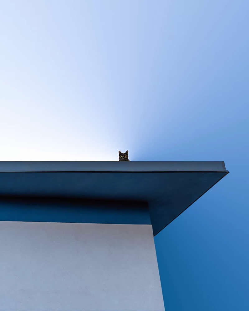 Minimal art - Minimalist Photos That Celebrate Simplicity