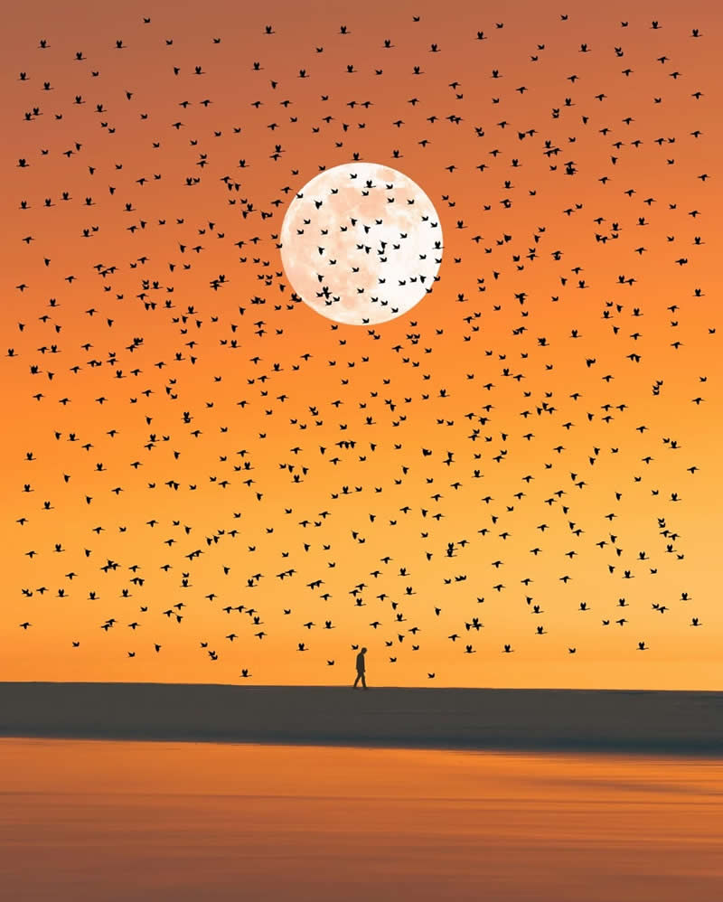 Golden Hour Mood  - Minimalist Photos That Celebrate Simplicity