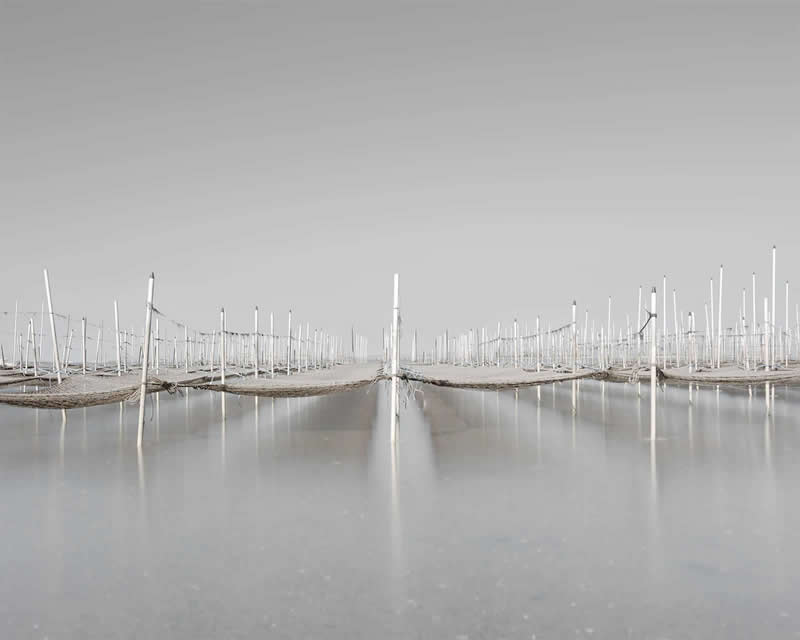 Seaweed Nets by Rachel Wei - 2025 Minimalist Photography Awards Long Exposure Winners