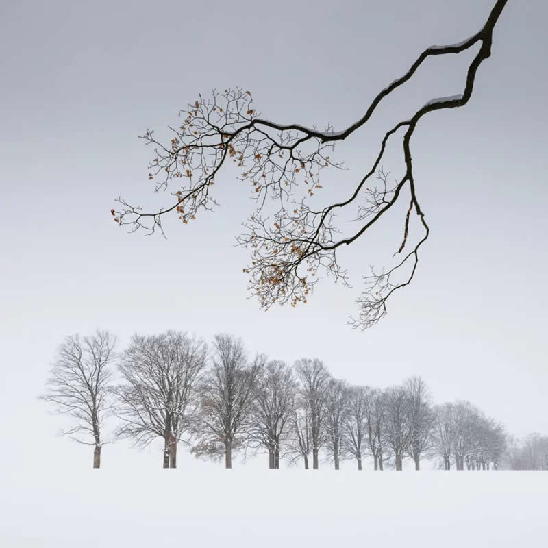 1st Place Winner: Art of Winter by Martin Rak - Minimalist Photography Awards 2025 Landscape Winners