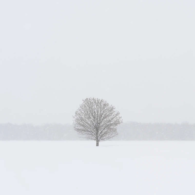 Solo by Cam Garner - Minimalist Photography Awards 2025 Landscape Winners
