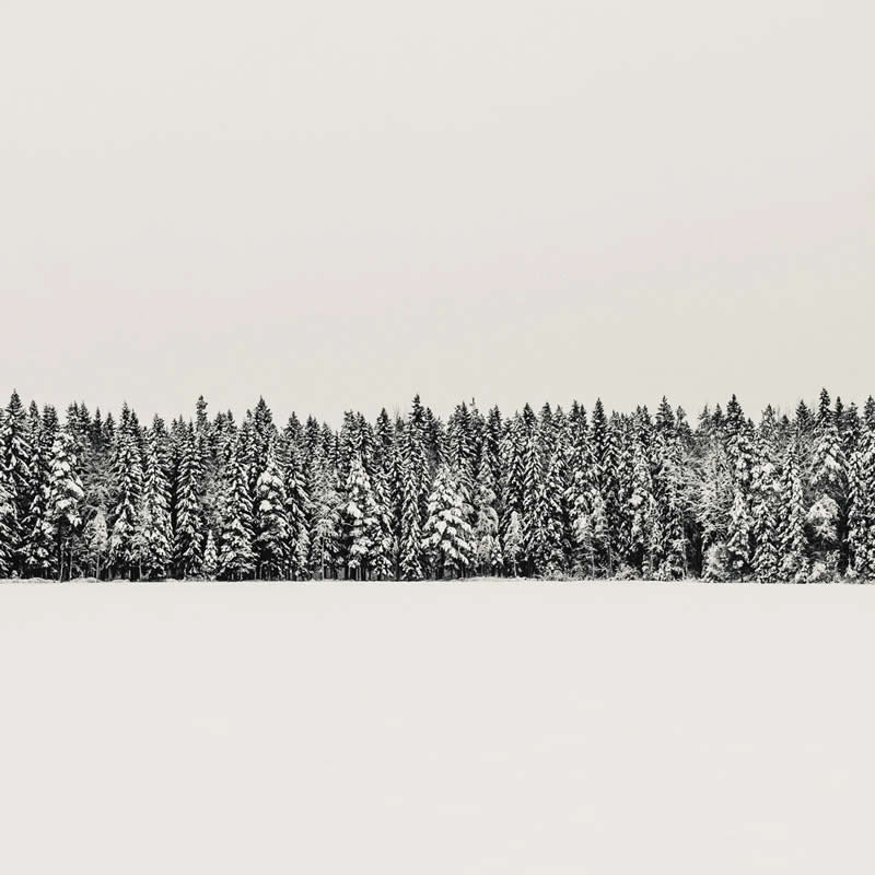 Treelines by Kalle Saarikko - Minimalist Photography Awards 2025 Landscape Winners