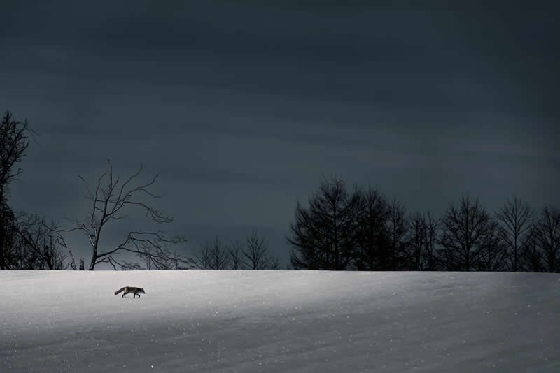Silent Pulse by Shoya Kato - Minimalist Photography Awards 2025 Landscape Winners
