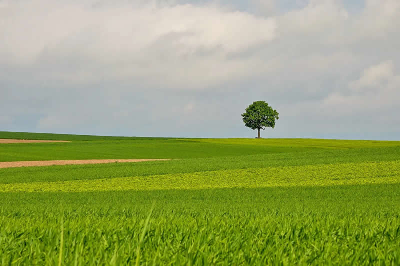 Lonely by Martin Tschopp - Minimalist Photography Awards 2025 Landscape Winners