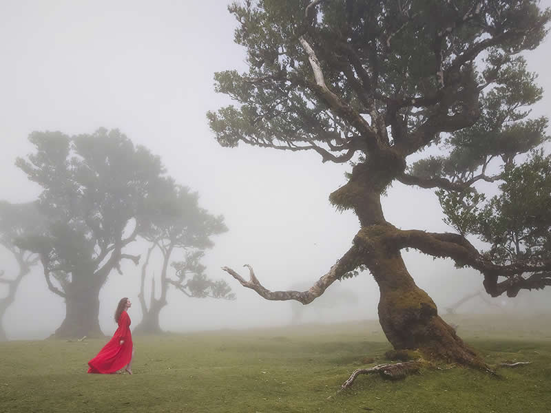 Conversation with Nature by Dominika Koszowska, Honorable Mention in Mobile Photography Awards in People Category