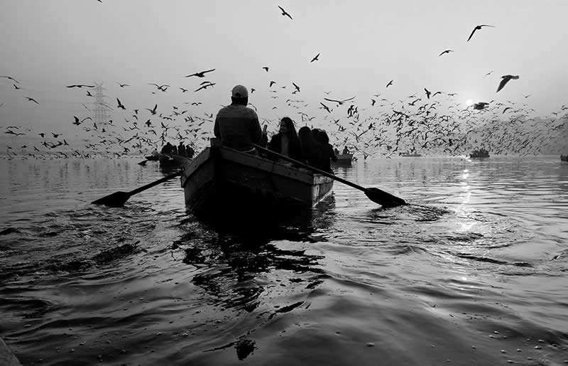 Mobile Photography Awards Silhouette Winners