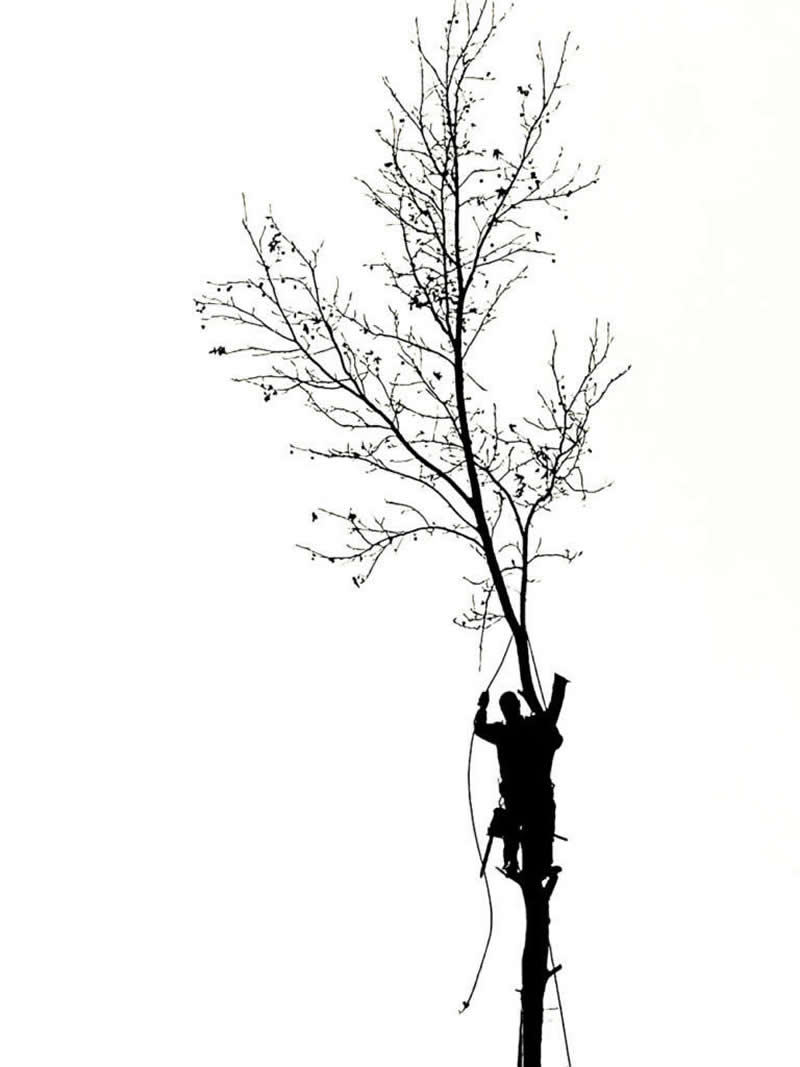 Mobile Photography Awards Silhouette Winners