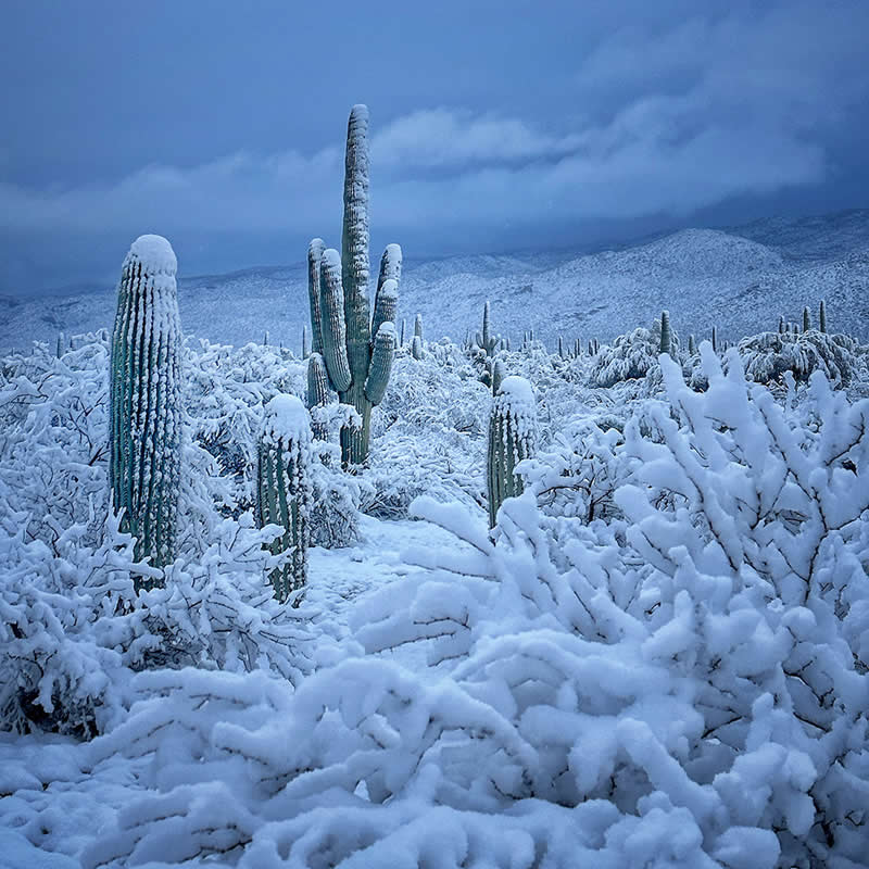 Water, Snow and Ice Winners from the Mobile Photography Awards