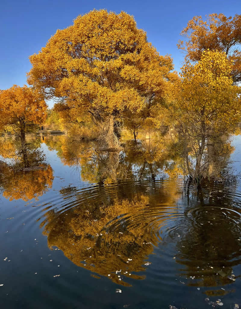 Water, Snow and Ice Winners from the Mobile Photography Awards