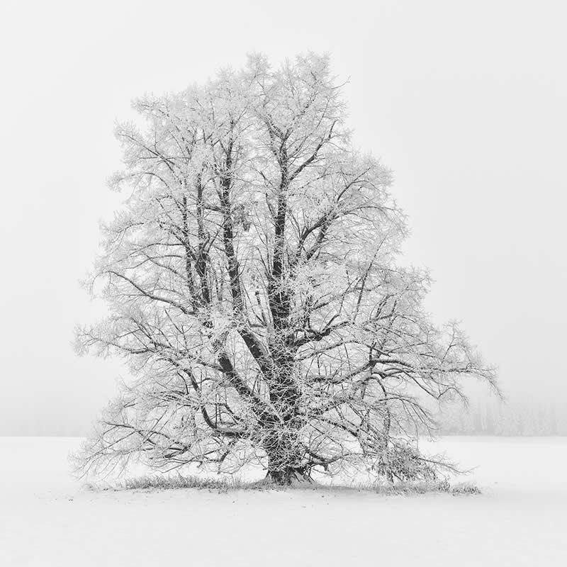 Monochrome Nature Photos