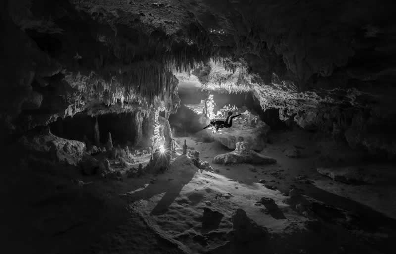 Monochrome Nature Photos