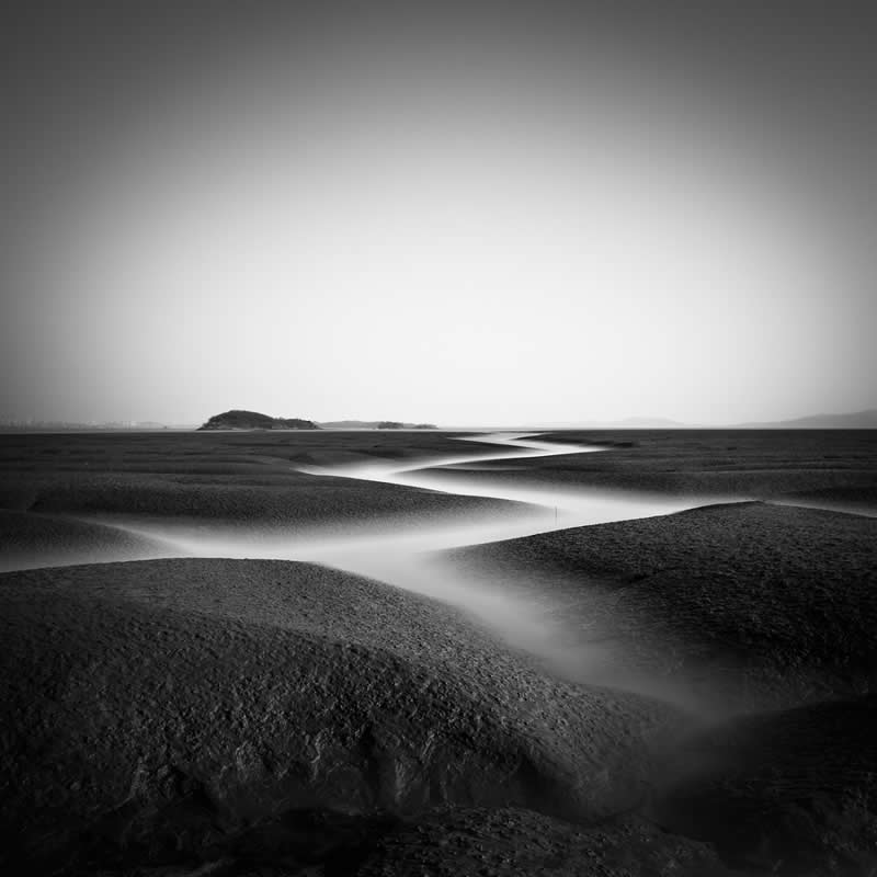 Monochrome Nature Photos