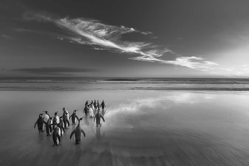 Monochrome Nature Photos