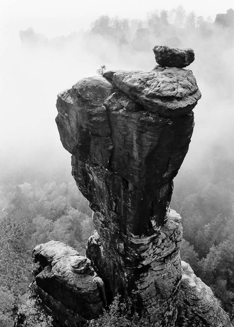 Monochrome Nature Photos