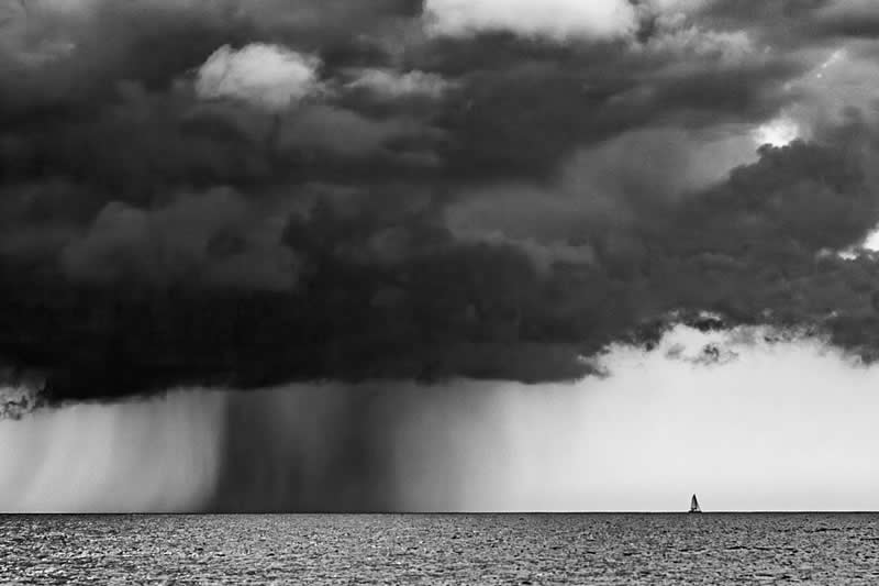 Monochrome Nature Photos