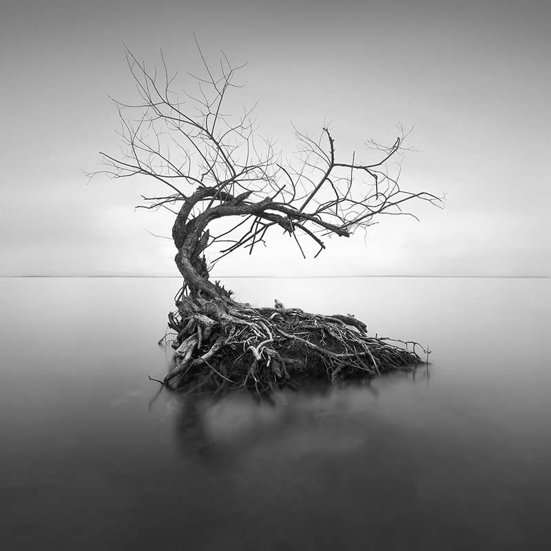 Monochrome Nature Photos