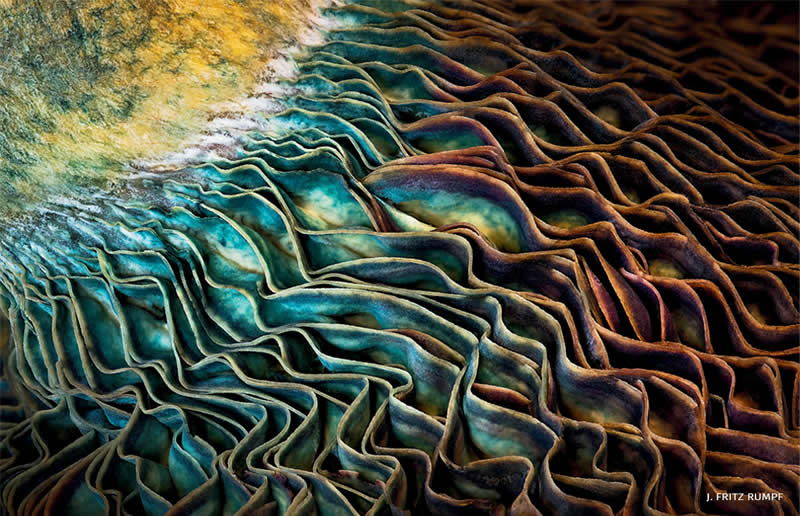 Landscapes & Plants - First Place: J. Fritz Rumpf - 2025 National Wildlife Photo Contest Winners