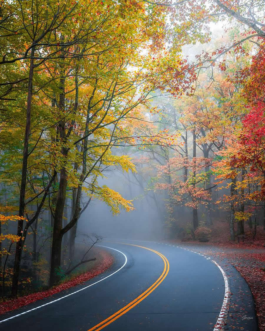 South Carolina in the Fall - Nature Landscape Photography by Jared Kreiss