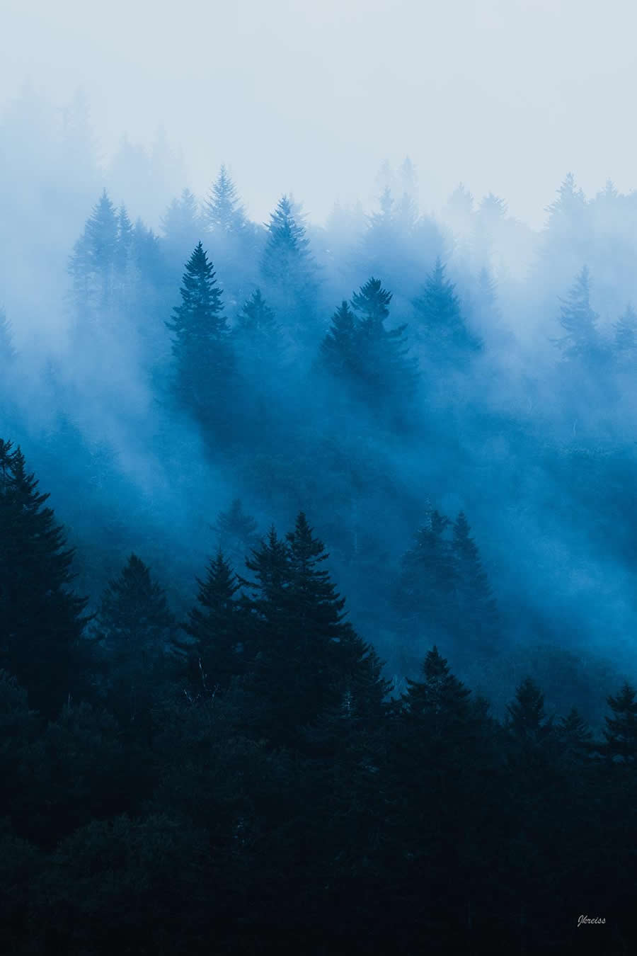 Blue Ridge Mountains, NC - Nature Landscape Photography by Jared Kreiss