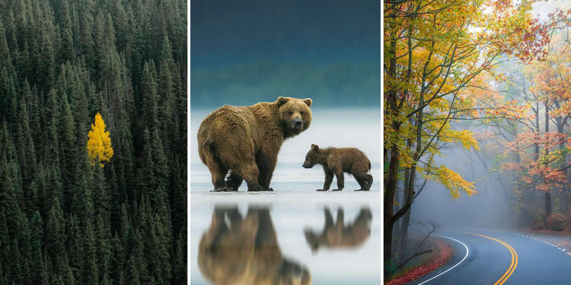 Nature Landscape Photography by Jared Kreiss