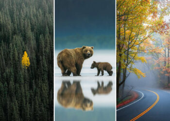 Nature Landscape Photography by Jared Kreiss