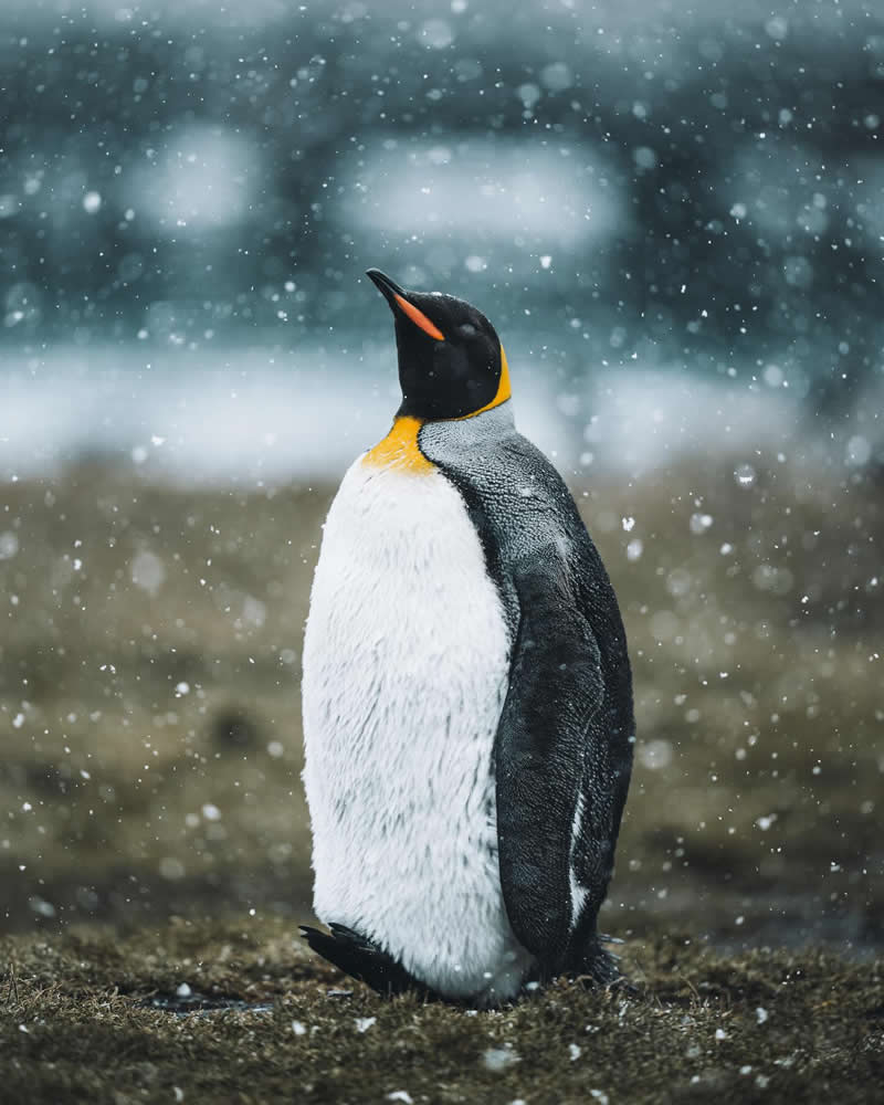 Nature Landscape Photography by Luke Stackpoole