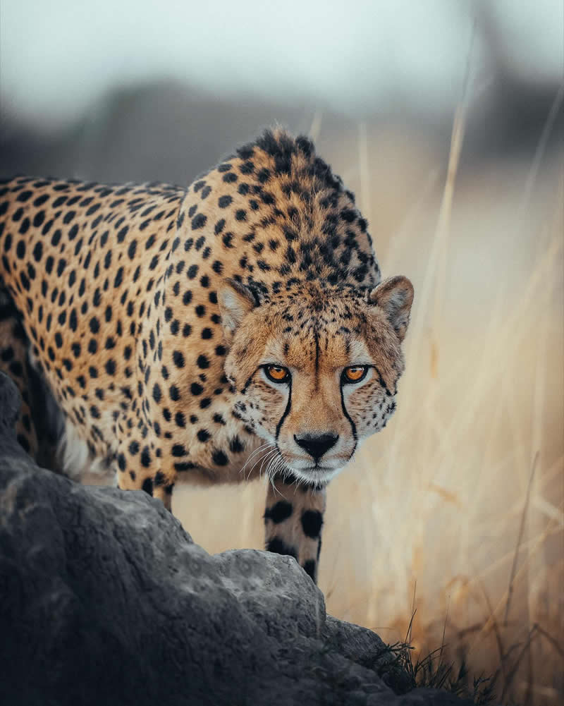 Nature Landscape Photography by Luke Stackpoole