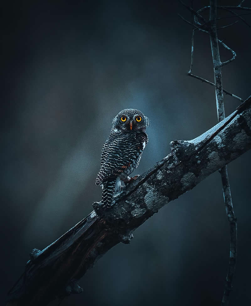 Nature Landscape Photography by Luke Stackpoole