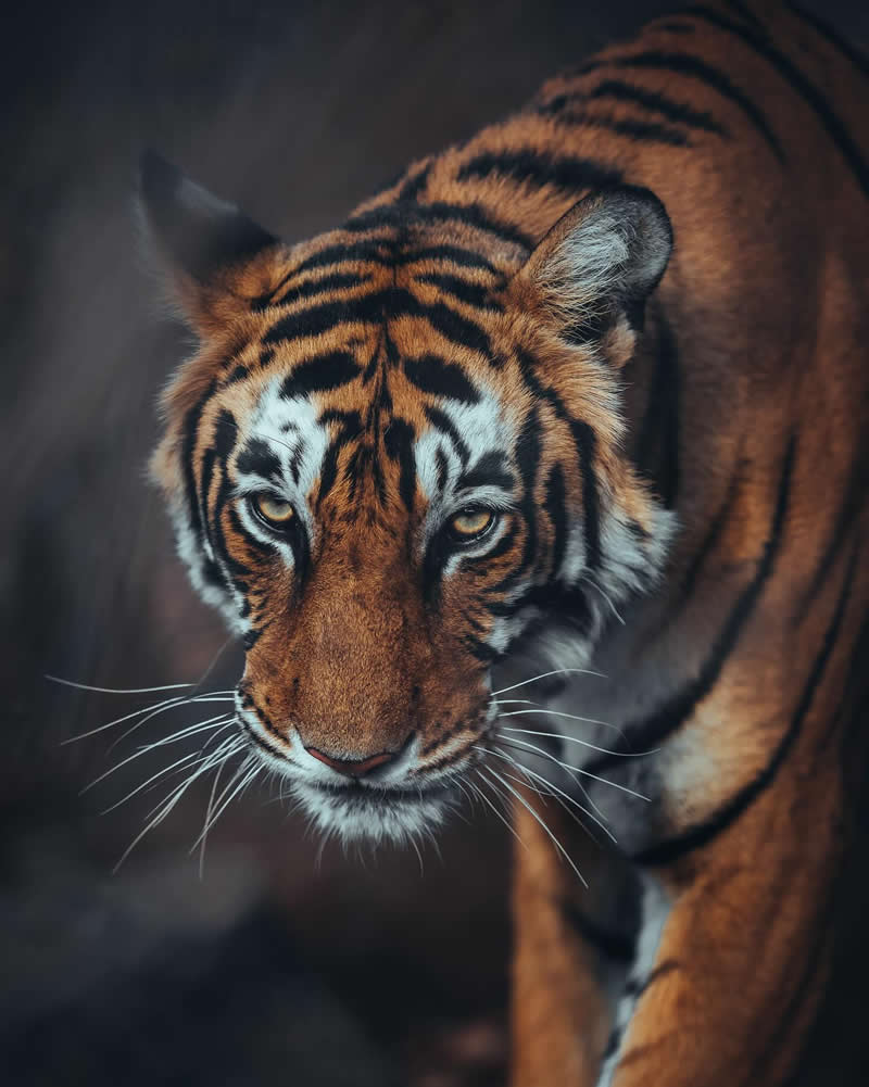 Nature Landscape Photography by Luke Stackpoole