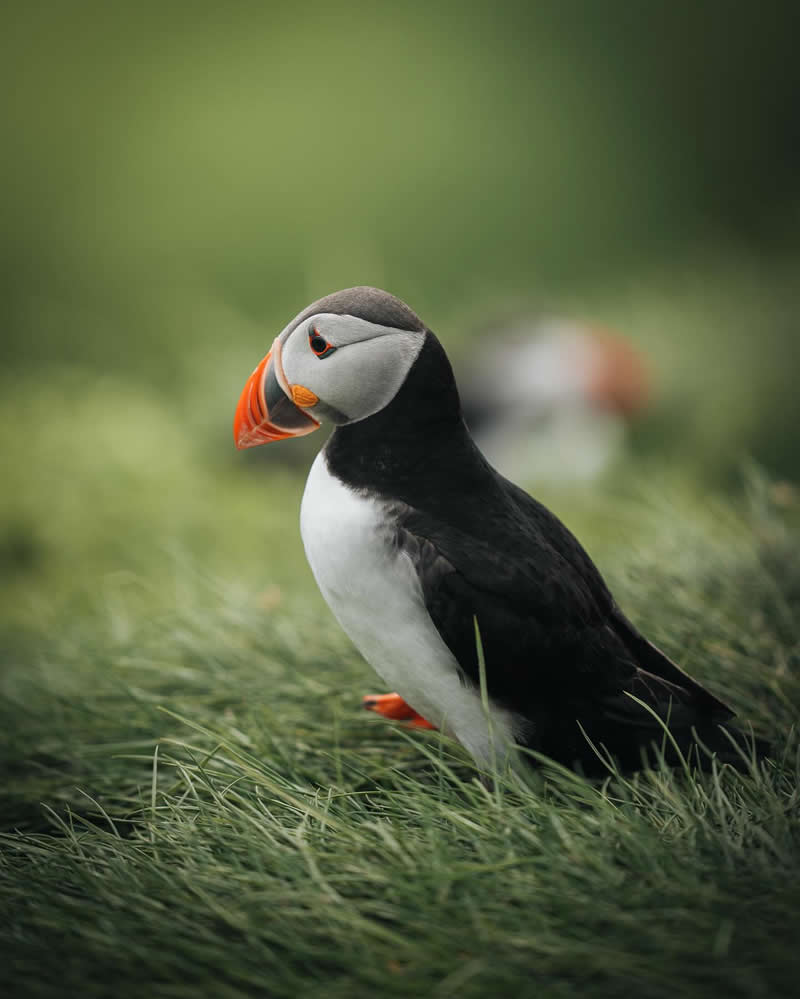 Nature Landscape Photography by Luke Stackpoole