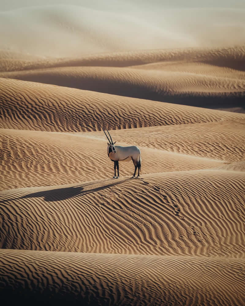 Nature Landscape Photography by Luke Stackpoole