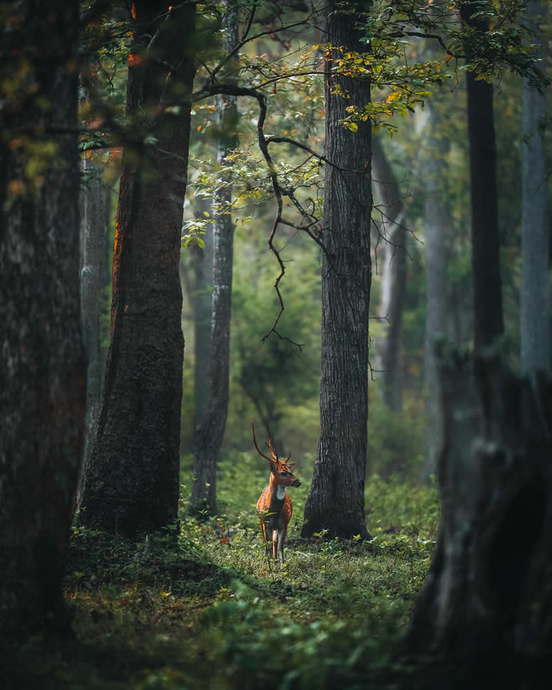 Nature Landscape Photography by Luke Stackpoole