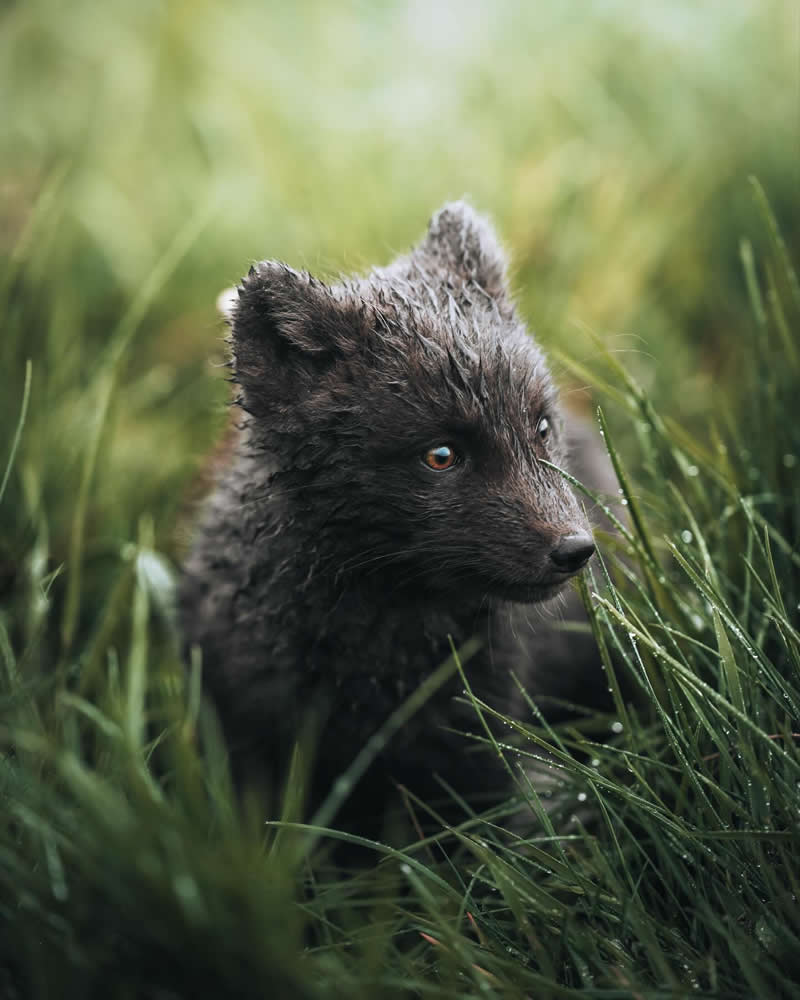 Nature Landscape Photography by Luke Stackpoole