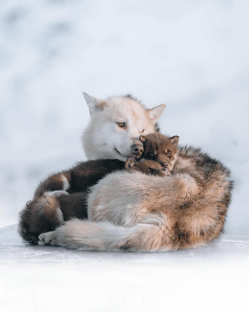 Nature Landscape Photography by Luke Stackpoole