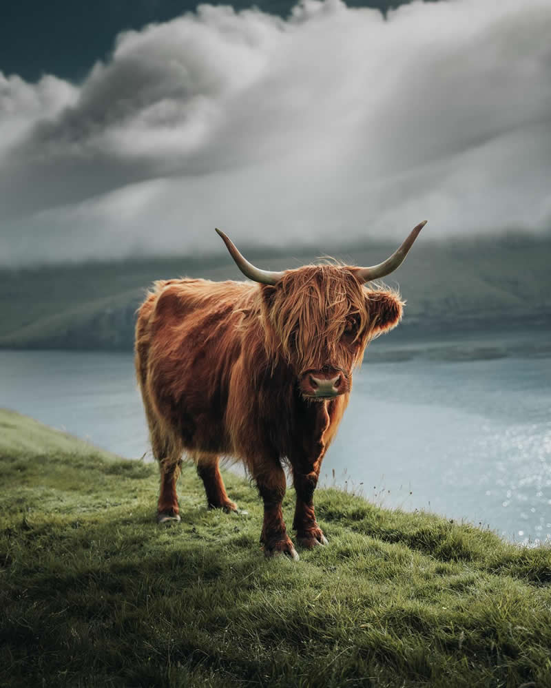 Nature Landscape Photography by Luke Stackpoole