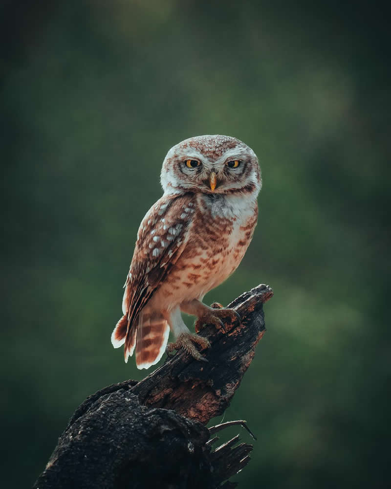 Nature Landscape Photography by Luke Stackpoole