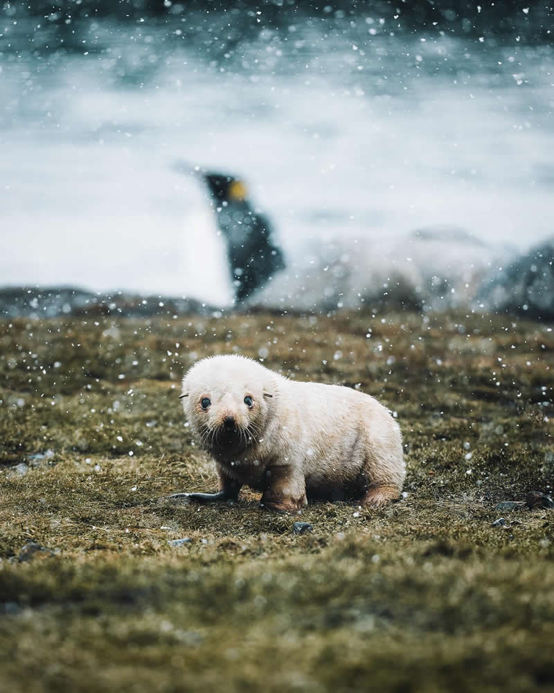 Nature Landscape Photography by Luke Stackpoole