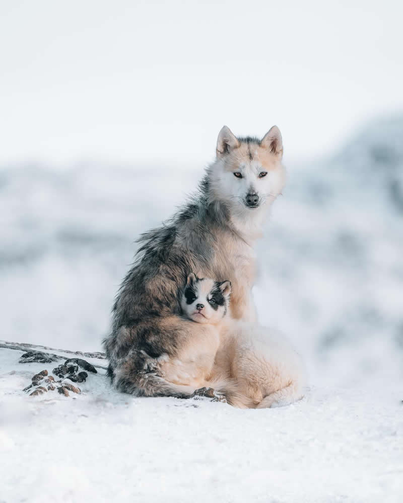 Nature Landscape Photography by Luke Stackpoole
