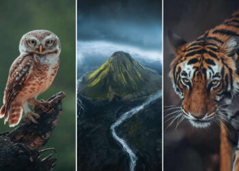 Nature Landscape Photography by Luke Stackpoole