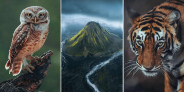 Nature Landscape Photography by Luke Stackpoole