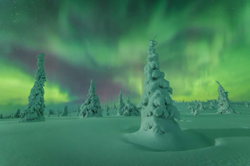 2025 Northern Lights Photographer of the Year Winners